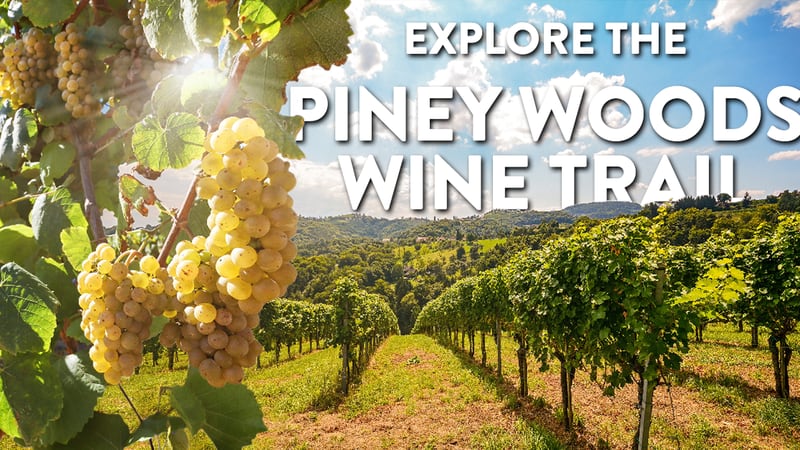 From vine to wine, explore the many local wines to enjoy on The Piney Woods Wine Trail