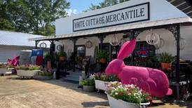 Handcrafted wonders with White Cottage Mercantile