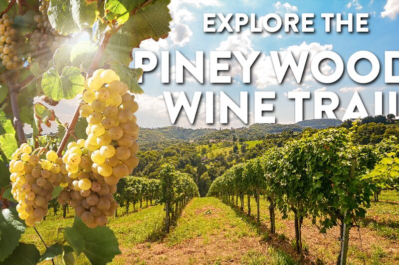 From vine to wine, explore the many local wines to enjoy on The Piney Woods Wine Trail