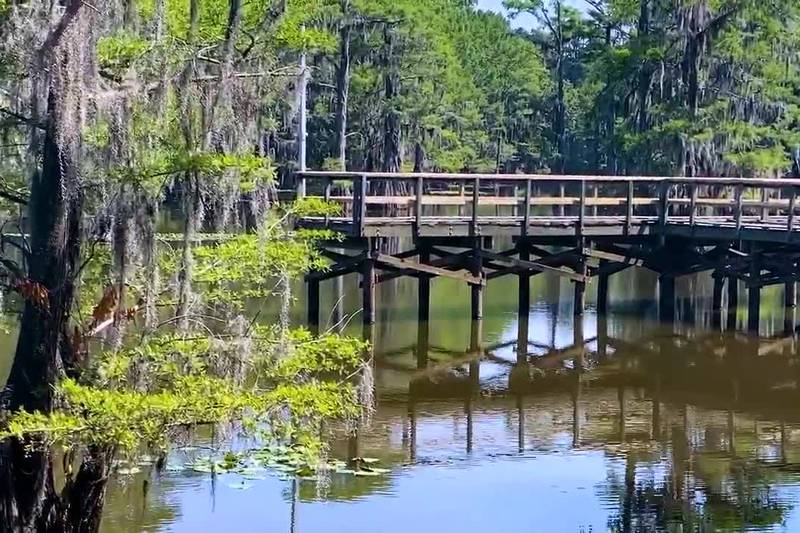 Jump into adventure at the Caddo Lake State Park