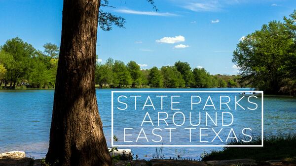 Explore these nearby Texas State Parks