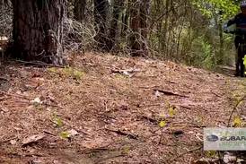 Building sustainable trails for a better future with East Texas Trail Advocates