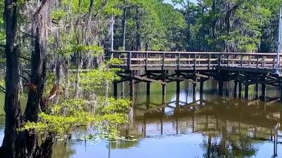 Jump into adventure at the Caddo Lake State Park